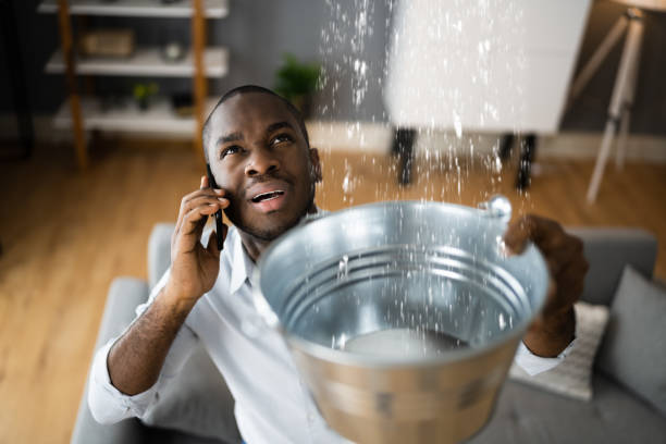 Best Flood damage cleanup  in Frazer, PA