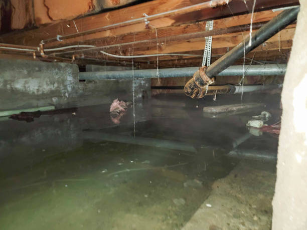 Best Flooded house restoration  in Frazer, PA