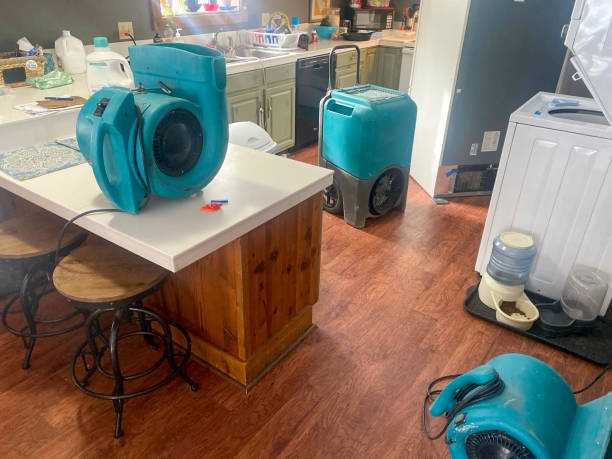 Best Professional water damage repair  in Frazer, PA