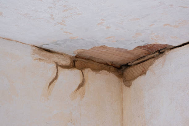 Trusted Frazer, PA Water damage restoration Experts