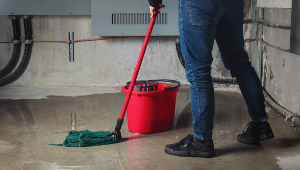 Best Flooded house restoration  in Frazer, PA