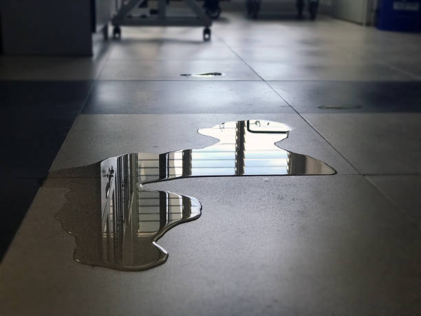 Best 24-hour water damage restoration  in Frazer, PA